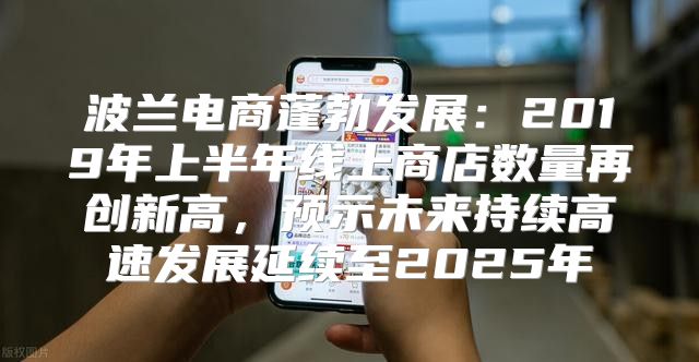 波兰电商蓬勃发展：2019年上半年线上商店数量再创新高，预示未来持续高速发展延续至2025年