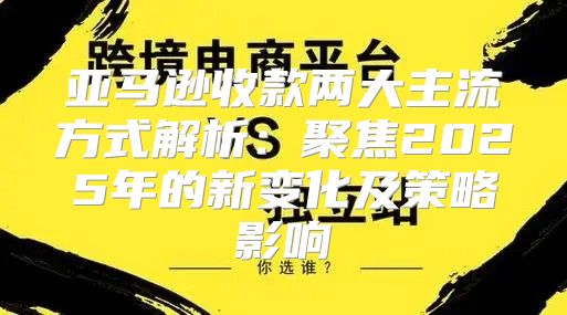 亚马逊收款两大主流方式解析：聚焦2025年的新变化及策略影响