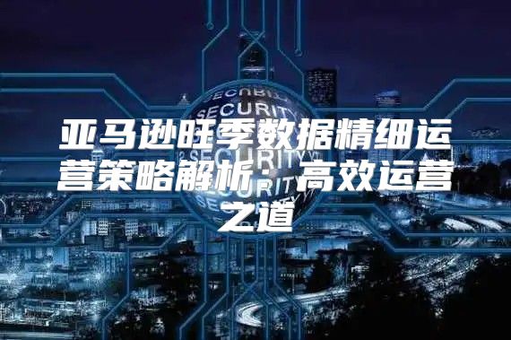 亚马逊旺季数据精细运营策略解析：高效运营之道