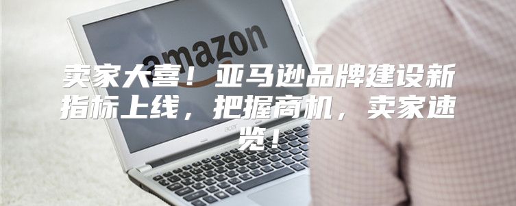 卖家大喜！亚马逊品牌建设新指标上线，把握商机，卖家速览！