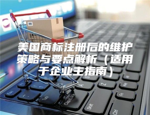 美国商标注册后的维护策略与要点解析适用于企业主指南