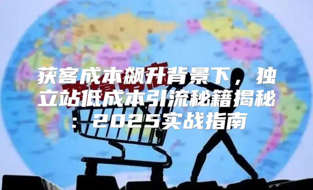 获客成本飙升背景下，独立站低成本引流秘籍揭秘：2025实战指南