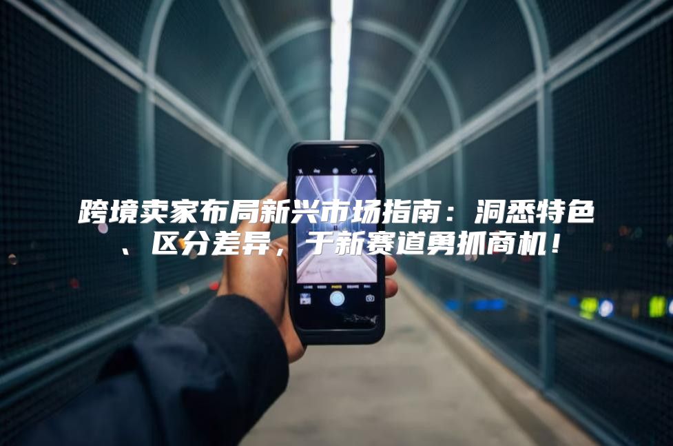 跨境卖家布局新兴市场指南：洞悉特色、区分差异，于新赛道勇抓商机！