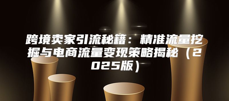 跨境卖家引流秘籍：精准流量挖掘与电商流量变现策略揭秘2025版