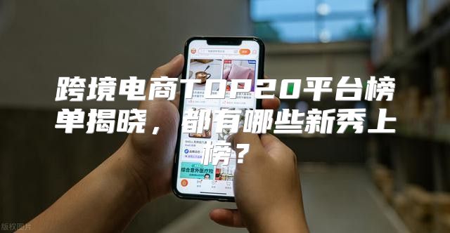 跨境电商TOP20平台榜单揭晓，都有哪些新秀上榜？