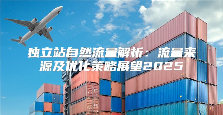 独立站自然流量解析：流量来源及优化策略展望2025