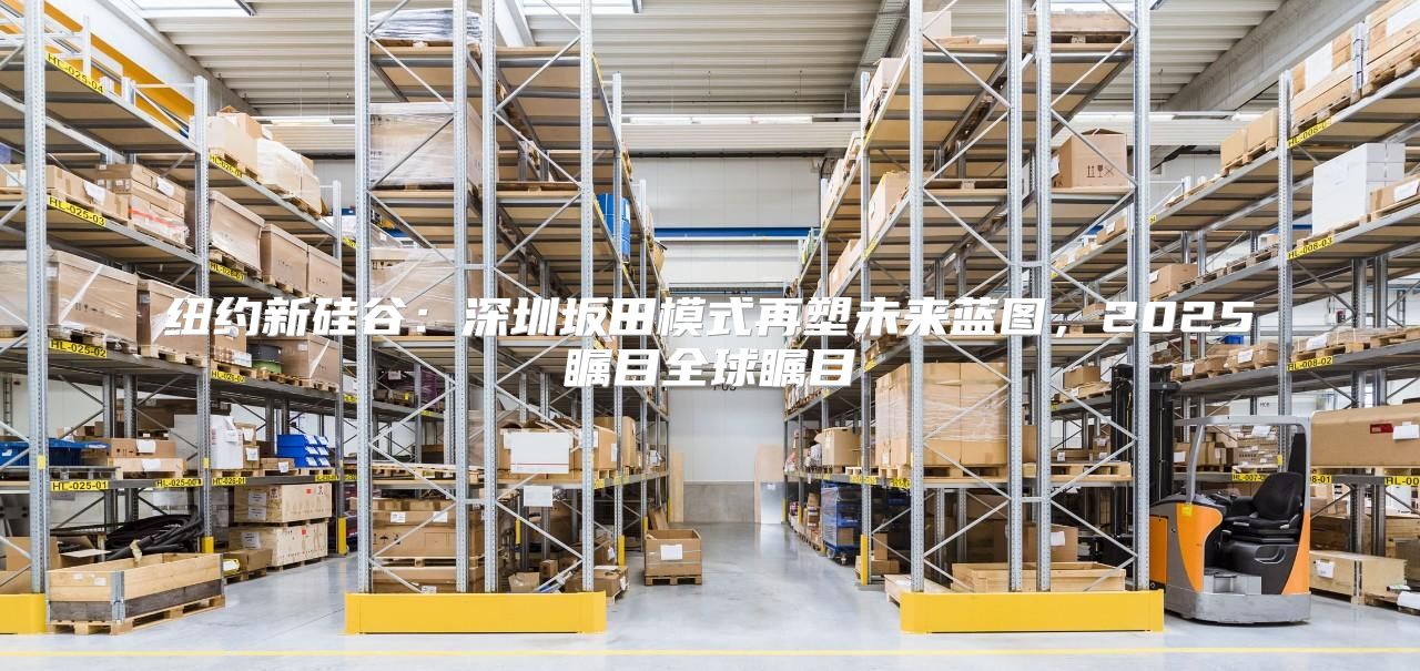 纽约新硅谷：深圳坂田模式再塑未来蓝图，2025瞩目全球瞩目