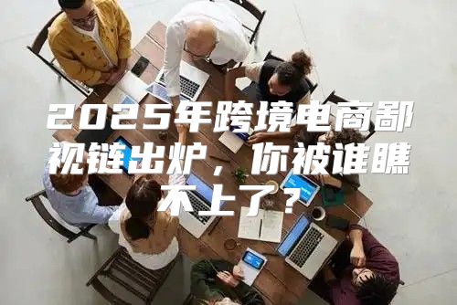 2025年跨境电商鄙视链出炉，你被谁瞧不上了？