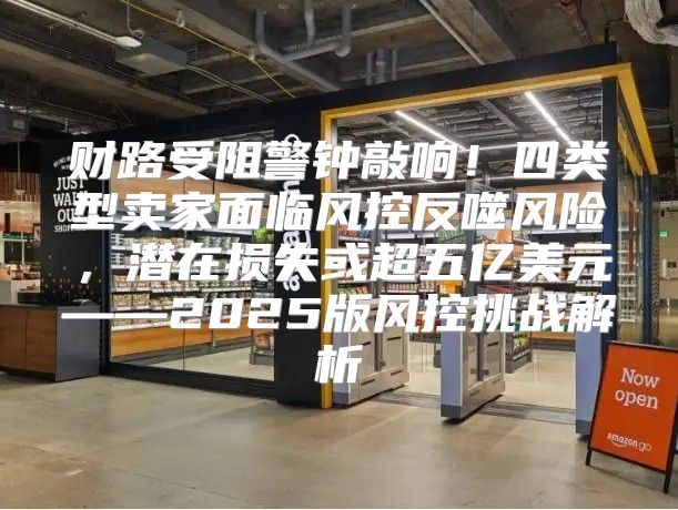财路受阻警钟敲响！四类型卖家面临风控反噬风险，潜在损失或超五亿美元——2025版风控挑战解析