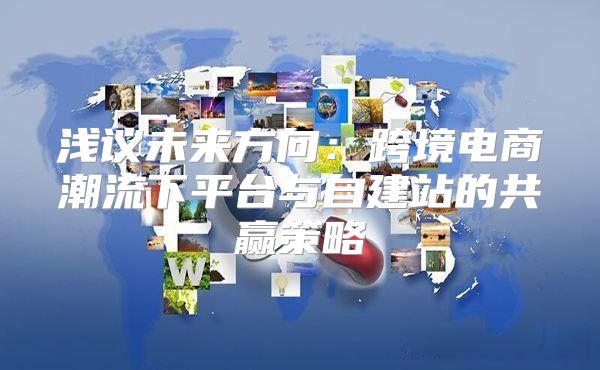 浅议未来方向：跨境电商潮流下平台与自建站的共赢策略