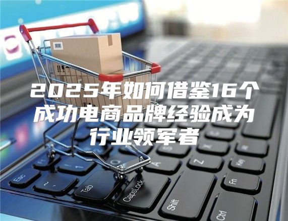 2025年如何借鉴16个成功电商品牌经验成为行业领军者