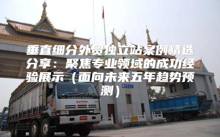 垂直细分外贸独立站案例精选分享：聚焦专业领域的成功经验展示面向未来五年趋势预测