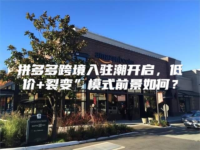 拼多多跨境入驻潮开启，低价+裂变”模式前景如何？