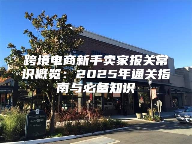 跨境电商新手卖家报关常识概览：2025年通关指南与必备知识