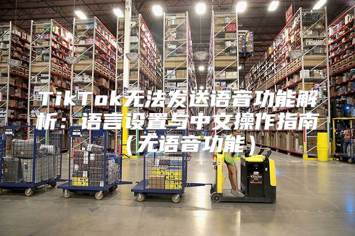TikTok无法发送语音功能解析：语言设置与中文操作指南无语音功能