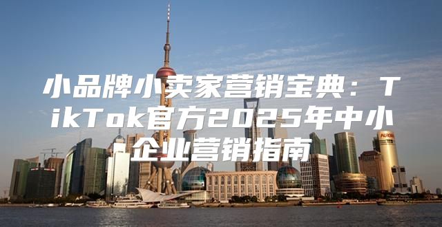 小品牌小卖家营销宝典：TikTok官方2025年中小企业营销指南