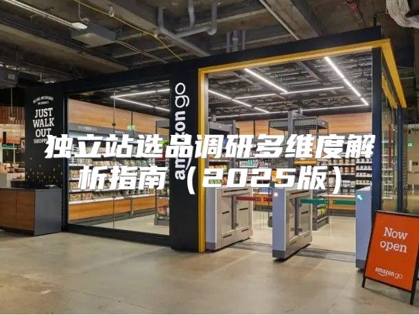 独立站选品调研多维度解析指南2025版