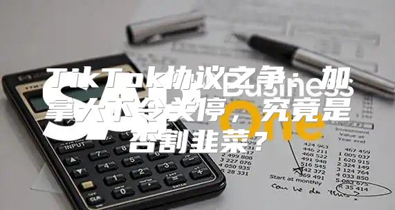 TikTok协议之争：加拿大下令关停，究竟是否割韭菜？