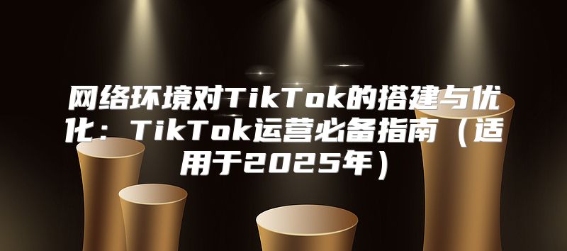 网络环境对TikTok的搭建与优化：TikTok运营必备指南适用于2025年