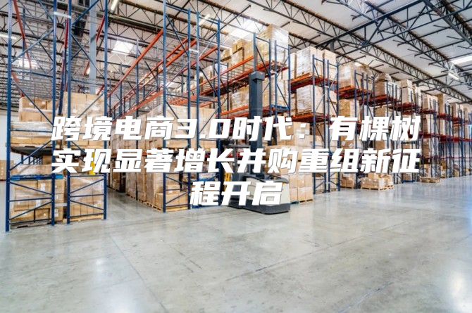 跨境电商3.0时代：有棵树实现显著增长并购重组新征程开启