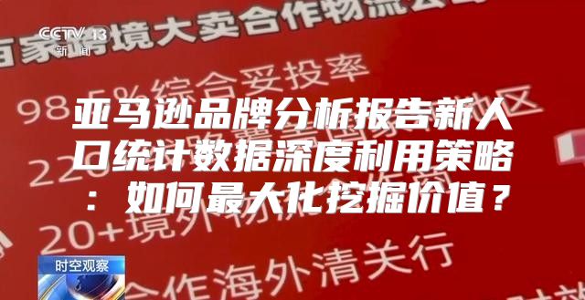 亚马逊品牌分析报告新人口统计数据深度利用策略：如何最大化挖掘价值？