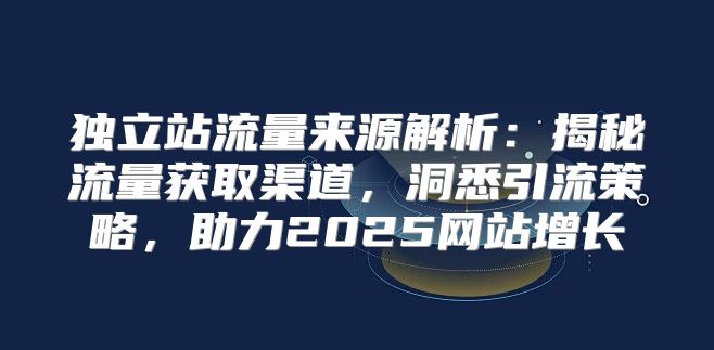 独立站流量来源解析：揭秘流量获取渠道，洞悉引流策略，助力2025网站增长