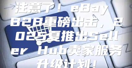 注意了！eBay B2B重磅出击，2025夏推出Seller Hub卖家服务升级计划！