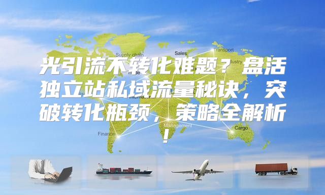 光引流不转化难题？盘活独立站私域流量秘诀，突破转化瓶颈，策略全解析！