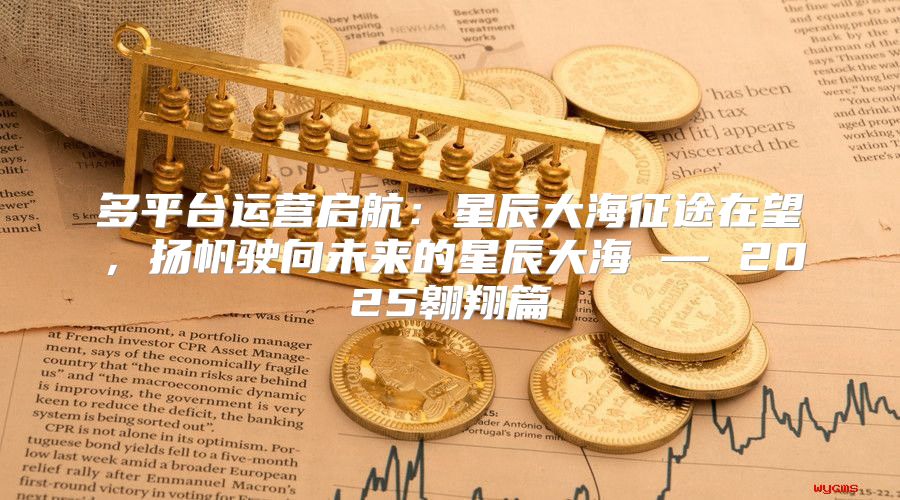 多平台运营启航：星辰大海征途在望，扬帆驶向未来的星辰大海 — 2025翱翔篇