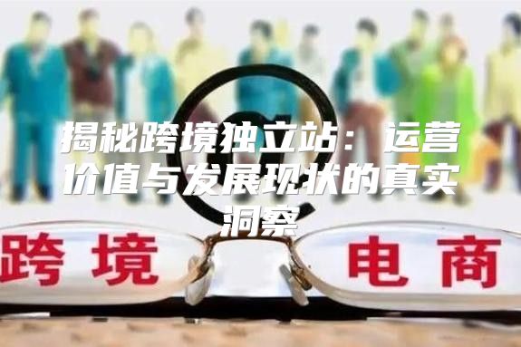 揭秘跨境独立站：运营价值与发展现状的真实洞察