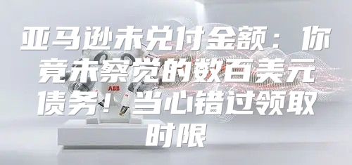 亚马逊未兑付金额：你竟未察觉的数百美元债务！当心错过领取时限
