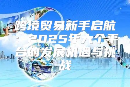 跨境贸易新手启航：2025年六个平台的发展机遇与挑战