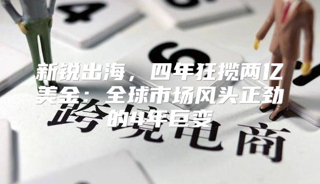 新锐出海，四年狂揽两亿美金：全球市场风头正劲的4年巨变