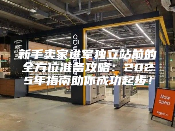新手卖家进军独立站前的全方位准备攻略：2025年指南助你成功起步！