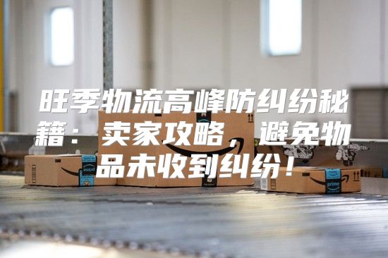 旺季物流高峰防纠纷秘籍：卖家攻略，避免物品未收到纠纷！