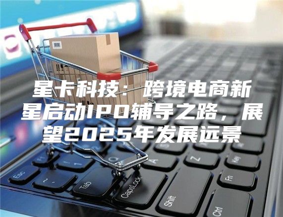 星卡科技：跨境电商新星启动IPO辅导之路，展望2025年发展远景