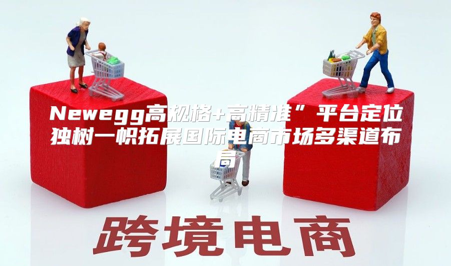 Newegg高规格+高精准”平台定位独树一帜拓展国际电商市场多渠道布局