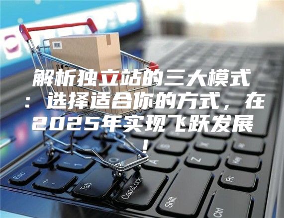 解析独立站的三大模式：选择适合你的方式，在2025年实现飞跃发展！