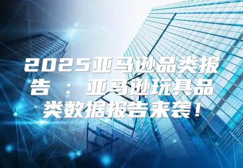 2025亚马逊品类报告④：亚马逊玩具品类数据报告来袭！