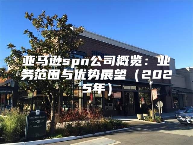 亚马逊spn公司概览：业务范围与优势展望2025年