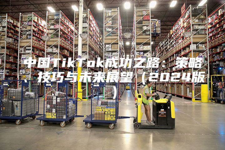 中国TikTok成功之路：策略、技巧与未来展望2025版