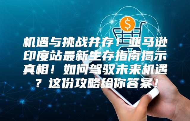机遇与挑战并存！亚马逊印度站最新生存指南揭示真相！如何驾驭未来机遇？这份攻略给你答案！