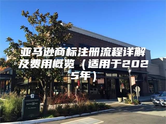 亚马逊商标注册流程详解及费用概览适用于2025年
