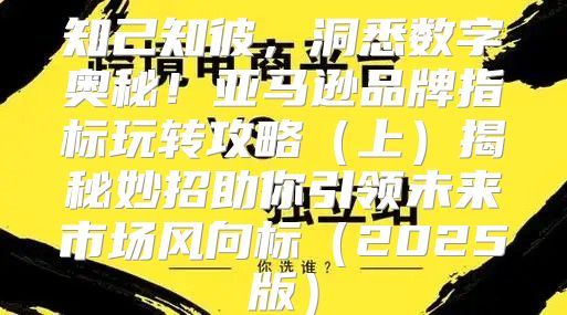 知己知彼，洞悉数字奥秘！亚马逊品牌指标玩转攻略上揭秘妙招助你引领未来市场风向标2025版