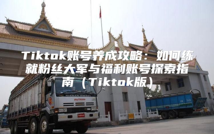 Tiktok账号养成攻略：如何练就粉丝大军与福利账号探索指南Tiktok版