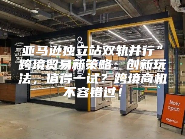 亚马逊独立站双轨并行”跨境贸易新策略：创新玩法，值得一试？跨境商机不容错过！