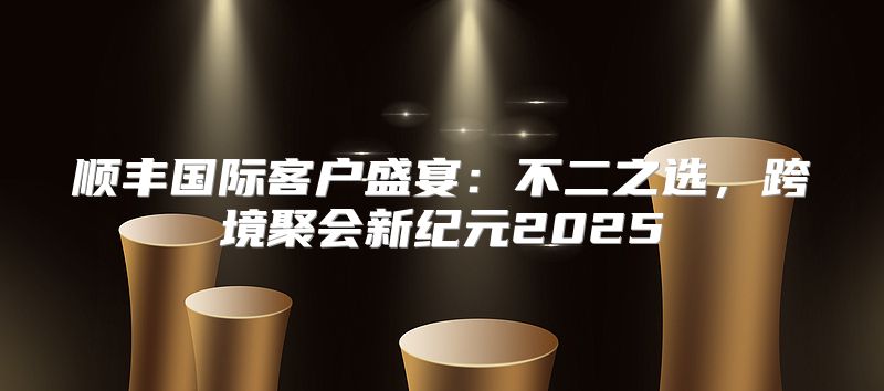 顺丰国际客户盛宴：不二之选，跨境聚会新纪元2025