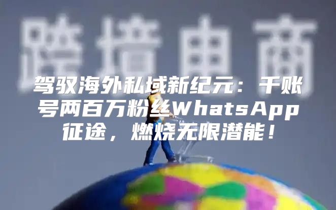 驾驭海外私域新纪元：千账号两百万粉丝WhatsApp征途，燃烧无限潜能！