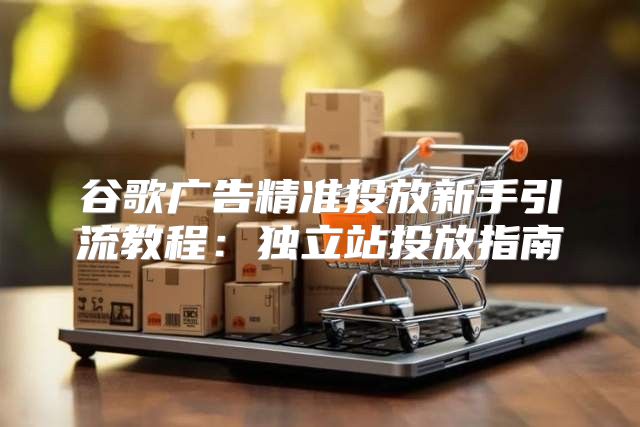 谷歌广告精准投放新手引流教程：独立站投放指南