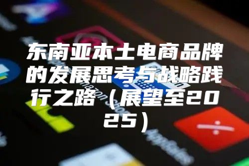 东南亚本土电商品牌的发展思考与战略践行之路展望至2025